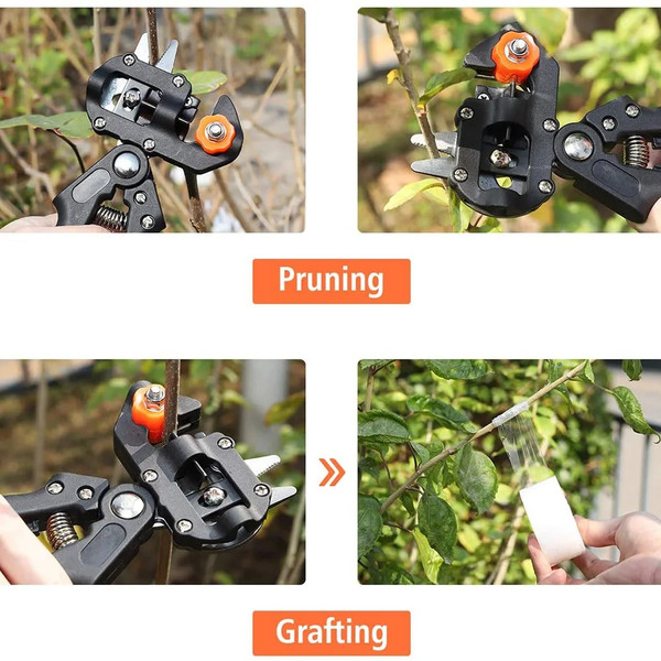 cO2JGrafting-Pruner-Scissor-Garden-Tool-Professional-Branch-Cutter-Secateur-Pruning-Plant-Fruit-Tree-Scissor-Chopper-Vaccination.jpg