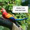 EZ6IResin-Parrot-Statue-Wall-Mounted-DIY-Outdoor-Garden-Tree-Decoration-Animal-Sculpture-For-Home-Office-Garden.jpg