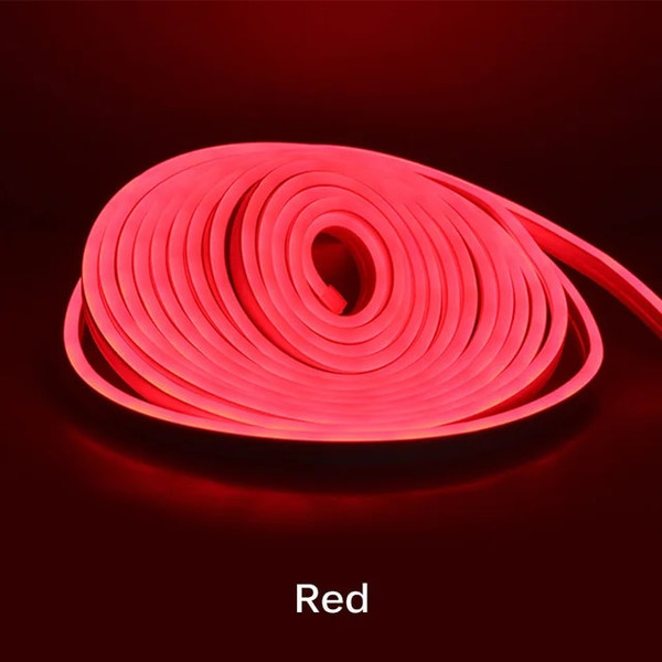 RD7QNeon-LED-Light-Strip-Flexible-Silicone-Set-5M-600-Lights-Embedded-Linear-Waterproof-Light-Tape-for.jpg
