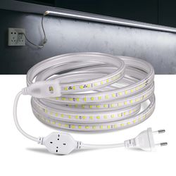 Flexible Outdoor LED Strip Lights 2835SMD 120LEDs/m - High Quality Waterproof Lamp with AC 110V 220V EU/US Power Plug