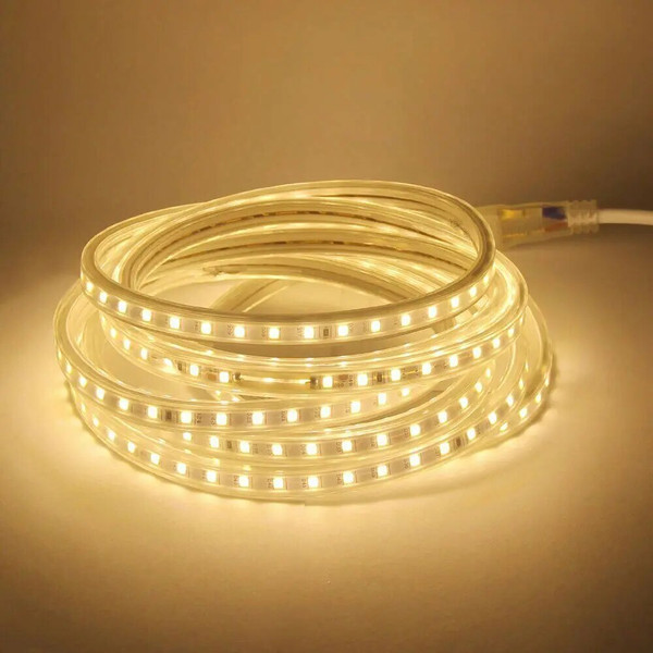 ZM5sAC-220V-LED-Strip-Lights-Waterproof-Led-Light-High-Brightness-Flexible-Kitchen-Outdoor-Garden-Lamp-Tape.jpg