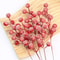 Berries Red Berry Branches, 10Pcs Christmas Decoration, Snow Artificial Red Fruit Holly, For Christmas Tree Pendant Wrea