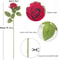 Velvet Silk Roses, Artificial Flowers Long Stem Branch for Wedding, Home Decoration, Mothers Day, Valentines Day Gifts
