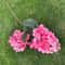 Pink Series Wedding Floral Arrangement Artificial Rose Hydrangea Plant Leaves Room Home Table Vase 16