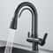 Matte Black Filtered Crane Kitchen Faucet Pull Out Spray Rotation Water Filter Tap Three Ways Sink 1