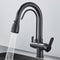 Matte Black Filtered Crane Kitchen Faucet Pull Out Spray Rotation Water Filter Tap Three Ways Sink 1