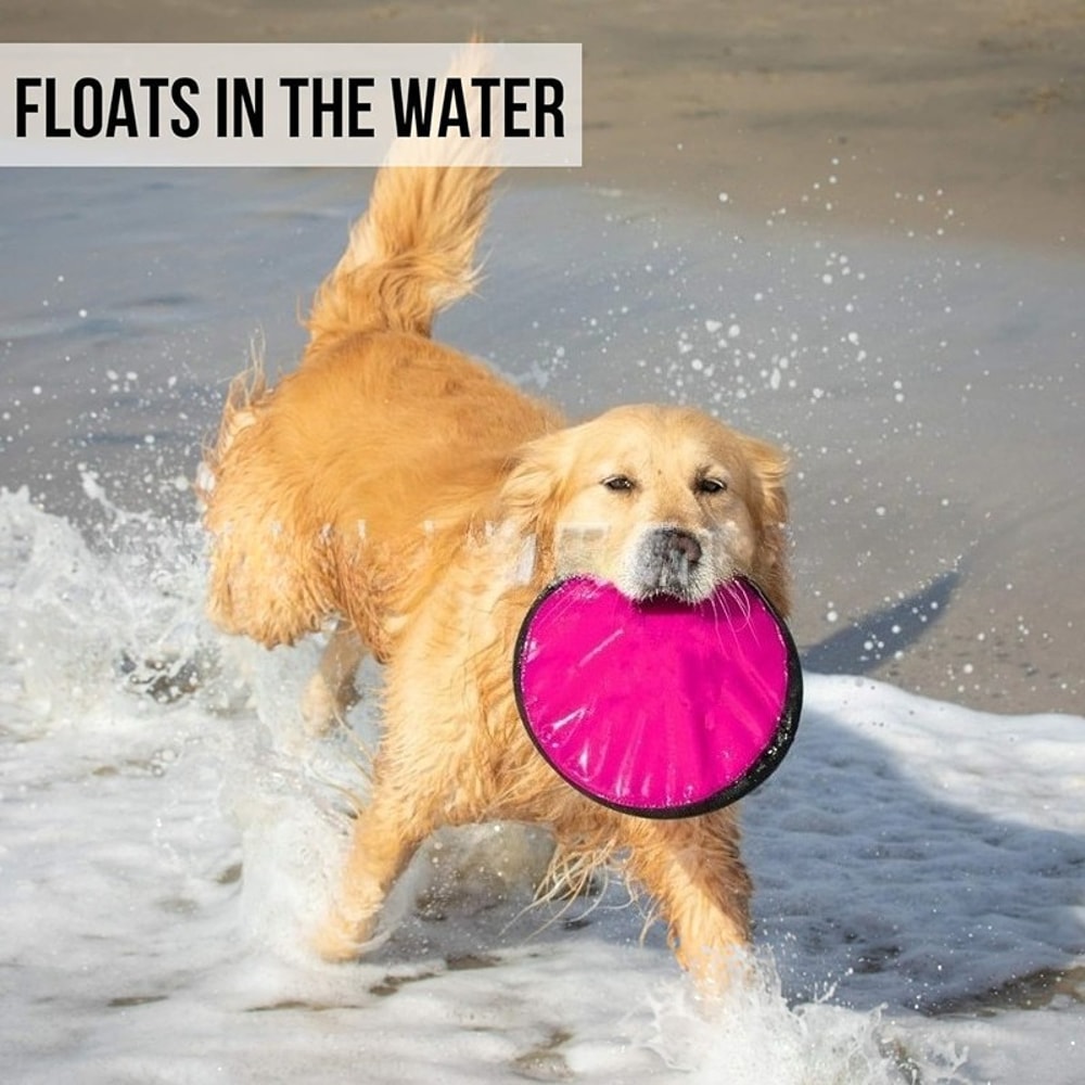 Portable Dog Training Flying Disc Breathable Easy To Clean Interactive Training Toy For Pets 1