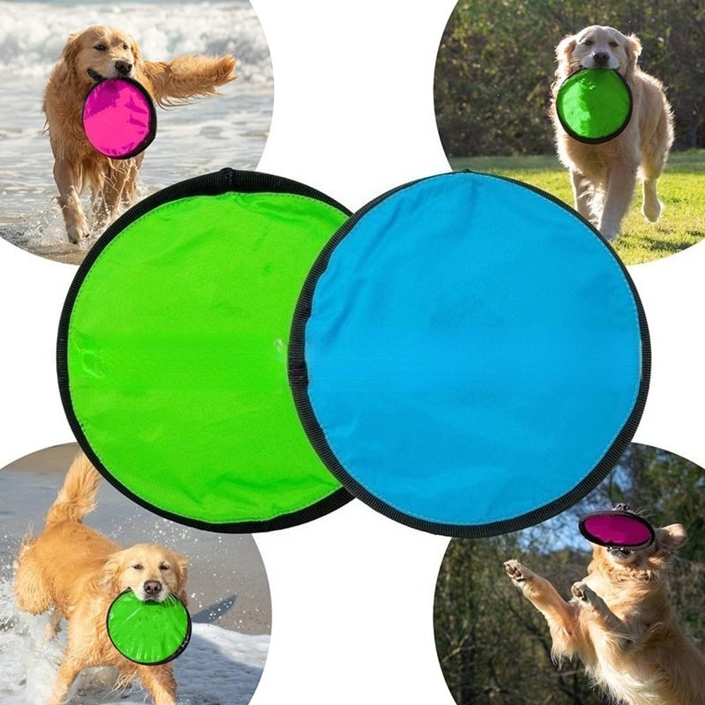 Portable Dog Training Flying Disc Breathable Easy To Clean Interactive Training Toy For Pets 3