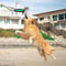 Portable Dog Training Flying Disc Breathable Easy To Clean Interactive Training Toy For Pets 4