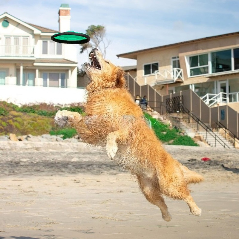 Portable Dog Training Flying Disc Breathable Easy To Clean Interactive Training Toy For Pets 4