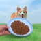 Silicone Flying Disk Toy For Dogs Durable Interactive Training Disc For Puppies Dogs 2