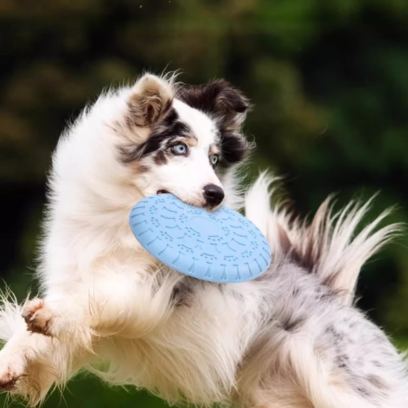 Durable Flying Disc for Dogs Chew Proof Interactive Frisbee for Aggressive Chewers, Fetch & Training Toy