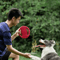 Steering Wheel Dog Frisbee Floating Fetch Toy For Interactive Training 3
