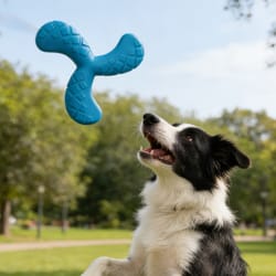 dog boomerang frisbee floating fetch toy for active dogs