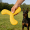 Dog Boomerang Frisbee Floating Fetch Toy For Active Dogs 2
