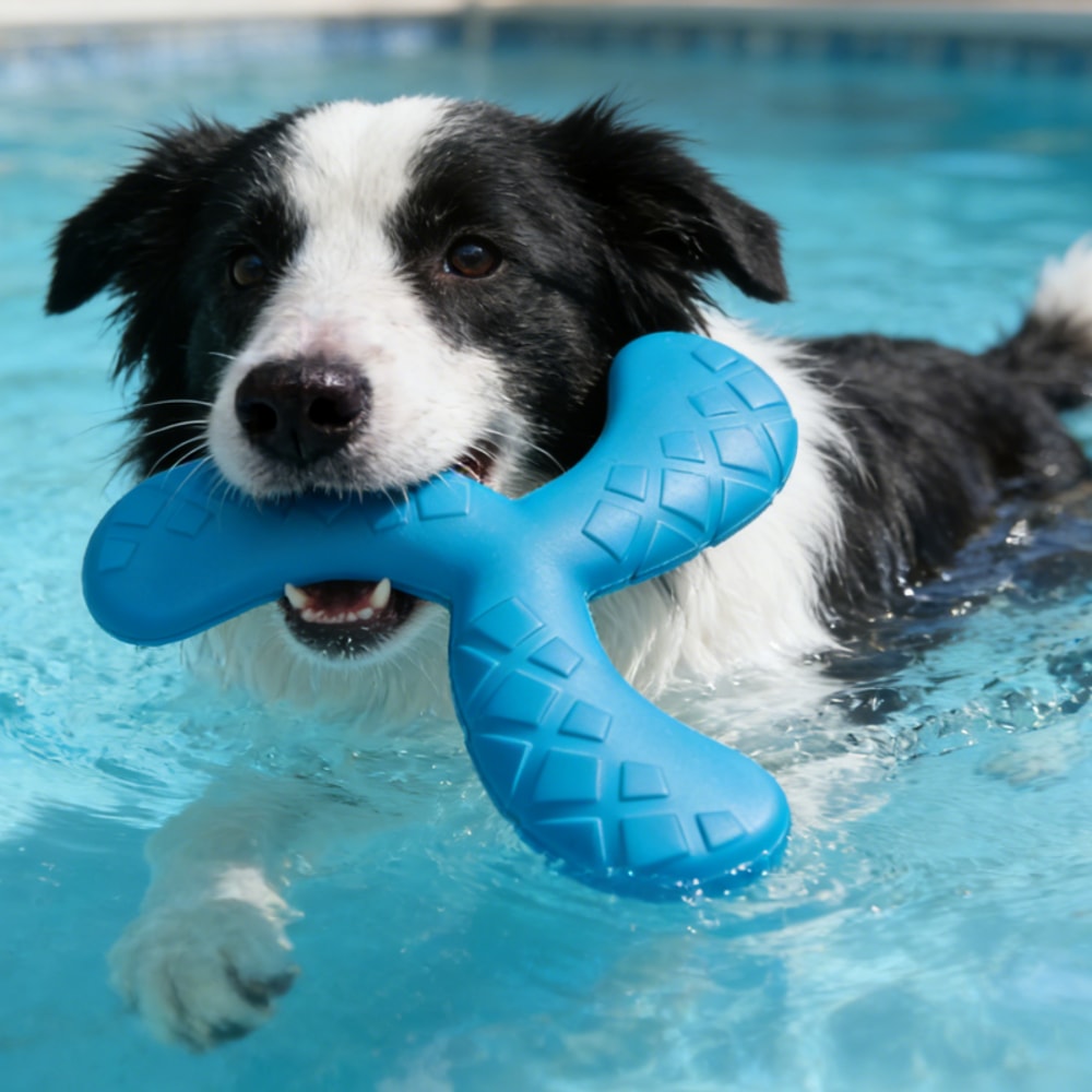 Dog Boomerang Frisbee Floating Fetch Toy For Active Dogs 4