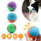Squeaky TPR Dog Chew Ball For Teeth Cleaning And Interactive Play 0