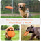Active Fetch Rubber Dog Frisbee Toy for Medium and Large Dogs