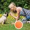 Active Fetch Rubber Dog Frisbee Toy for Medium and Large Dogs