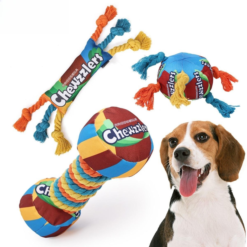 Rainbow Twist Dog Chew Toy with Squeaker and Rope Dental Design