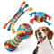 Rainbow Twist Dog Chew Toy with Squeaker and Rope Dental Design