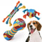 Rainbow Twist Dog Chew Toy with Squeaker and Rope Dental Design