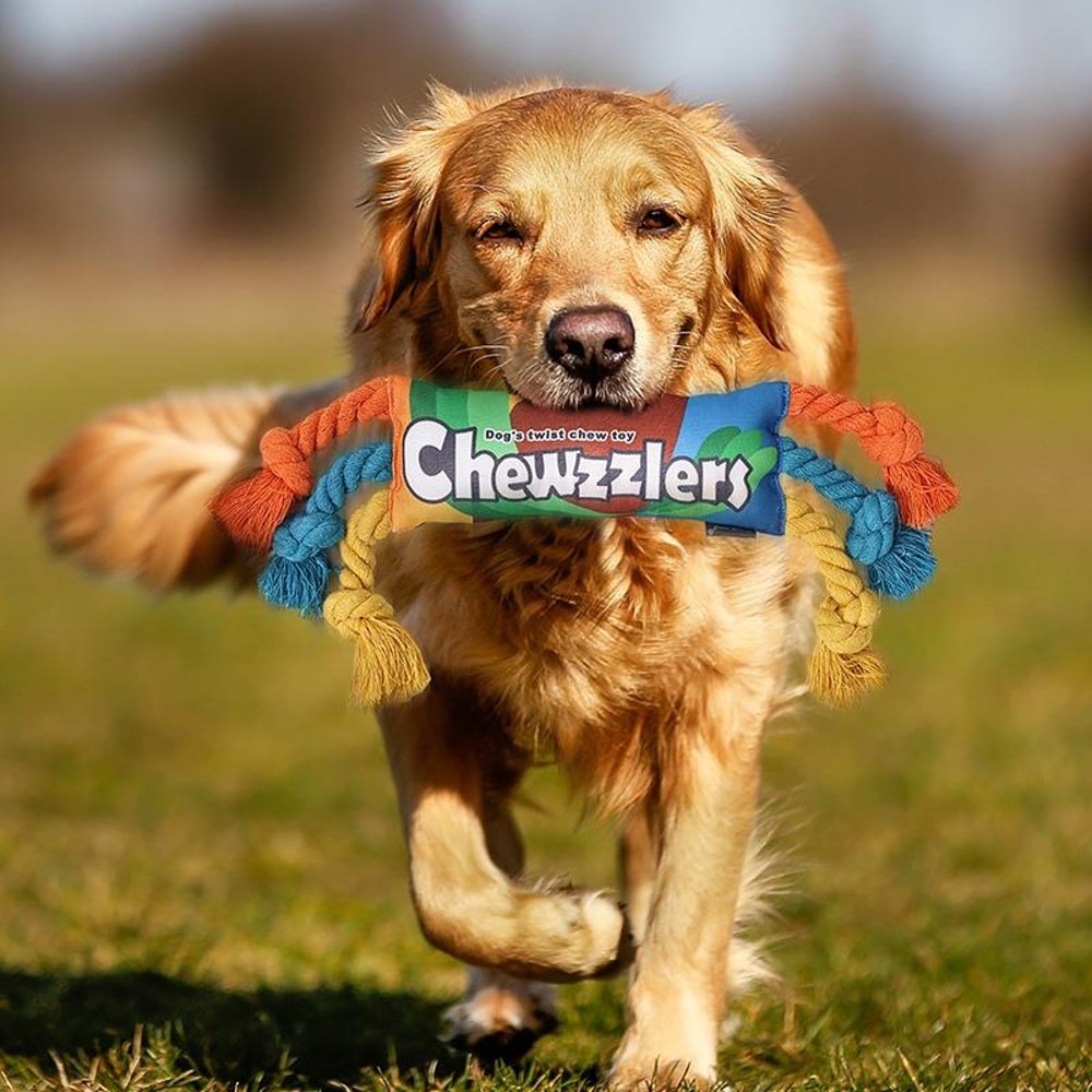 Rainbow Twist Dog Chew Toy with Squeaker and Rope Dental Design