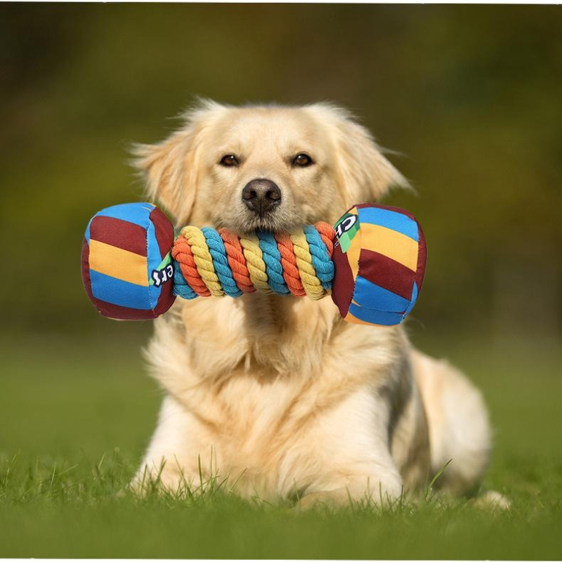 Rainbow Twist Dog Chew Toy with Squeaker and Rope Dental Design
