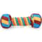 Rainbow Twist Dog Chew Toy with Squeaker and Rope Dental Design