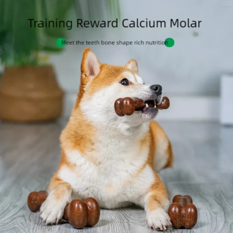 Durable Dog Chew Bone for Puppies and Aggressive Chewers