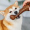 Durable Dog Chew Bone for Puppies and Aggressive Chewers