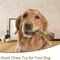 Durable Dog Chew Bone for Puppies and Aggressive Chewers