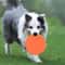 Soft Silicone Floating Dog Frisbee Toy For Training And Interactive Fetch 1