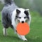 Soft Silicone Floating Dog Frisbee Toy For Training And Interactive Fetch 1