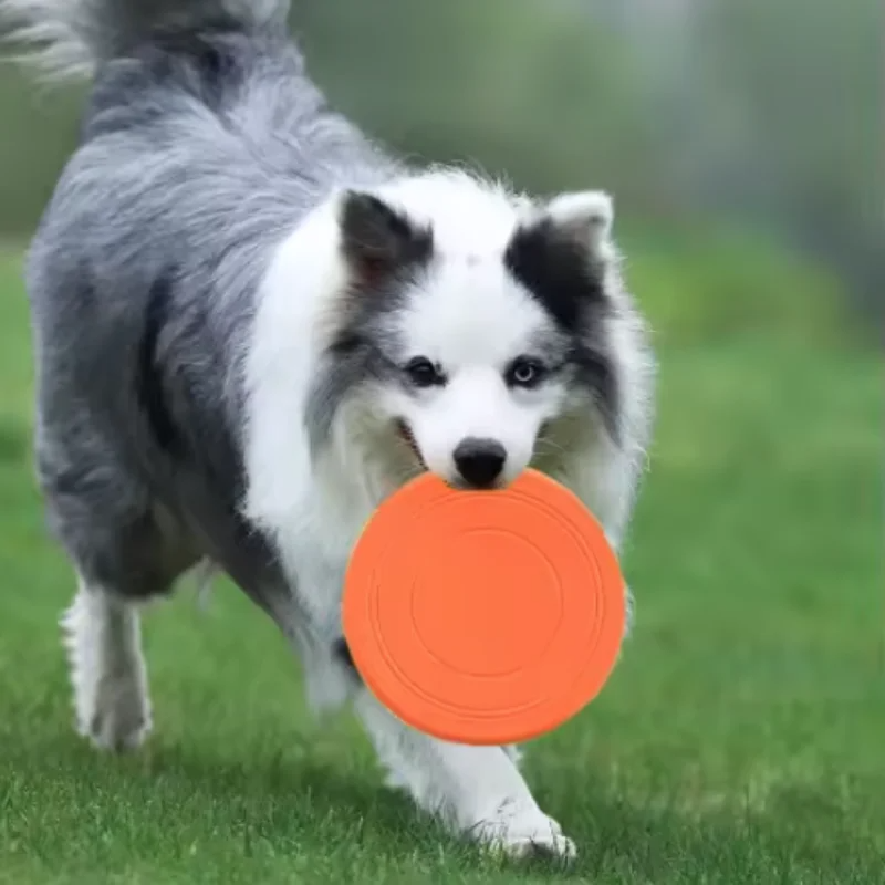 Soft Silicone Floating Dog Frisbee Toy For Training And Interactive Fetch 1