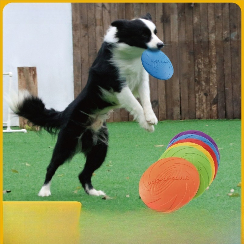 Soft Dog Frisbee Floating Fetch Toy For Training And Active Play 2