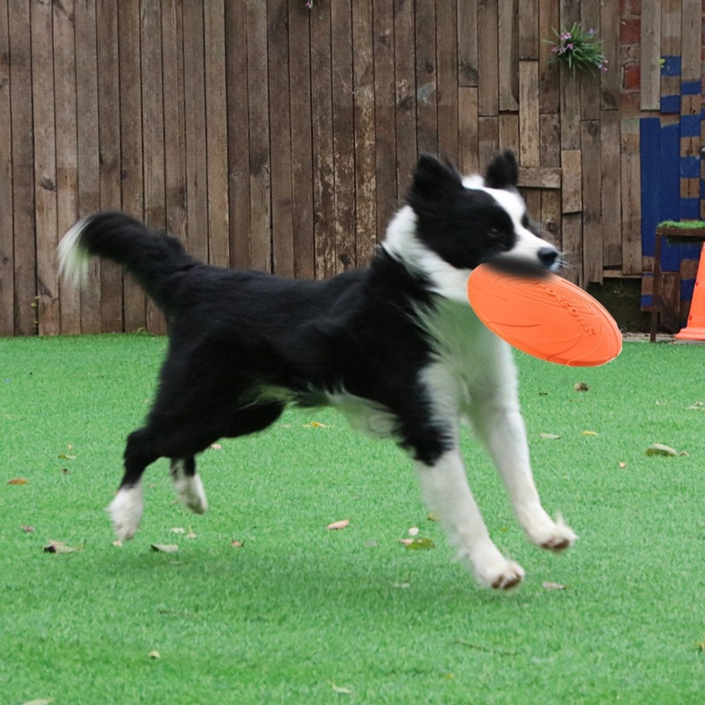 Soft Dog Frisbee Floating Fetch Toy For Training And Active Play 1