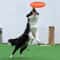 Soft Dog Frisbee Floating Fetch Toy For Training And Active Play 3