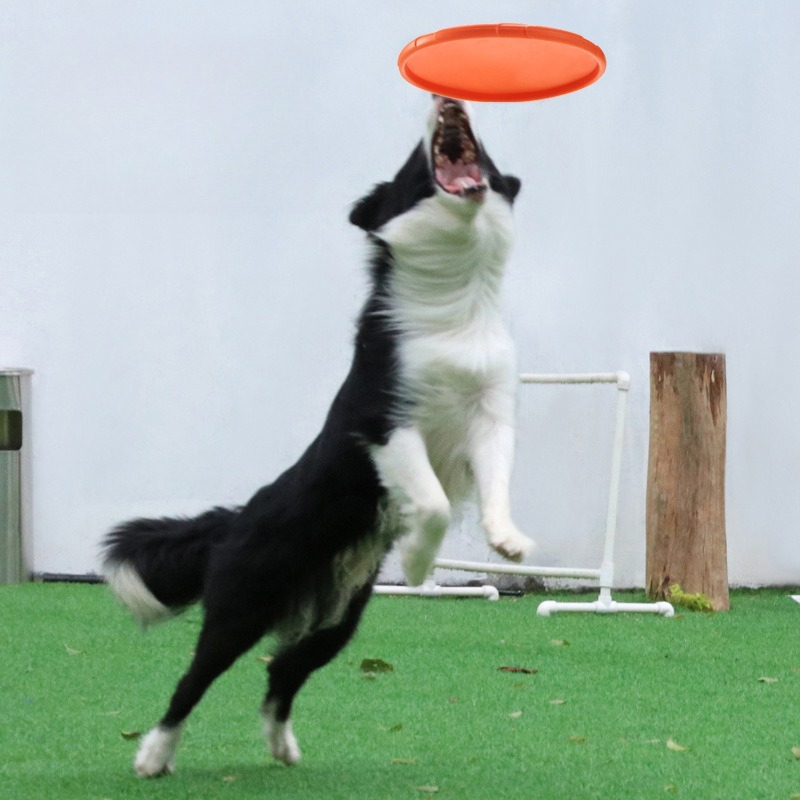 Soft Dog Frisbee Floating Fetch Toy For Training And Active Play 3