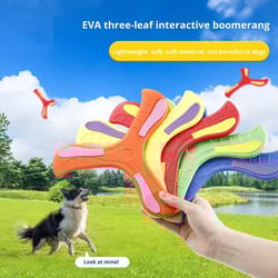 soft boomerang flying disc for kids and families