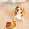 Duck Dog Puzzle Feeder Interactive Treat Dispenser Slow Feeder Toy
