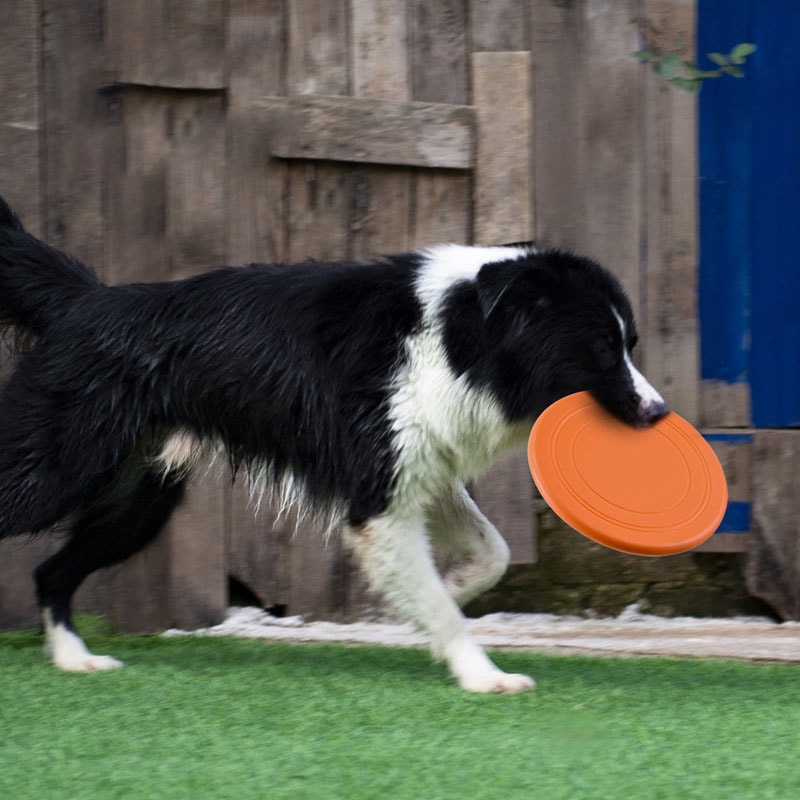 Soft Silicone Dog Flying Disc Interactive Fetch Toy For Training And Play 2