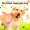 Interactive Dog Rope Toy for Chewers Durable Tug and Chew Toy