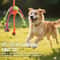 Interactive Dog Rope Toy for Chewers Durable Tug and Chew Toy