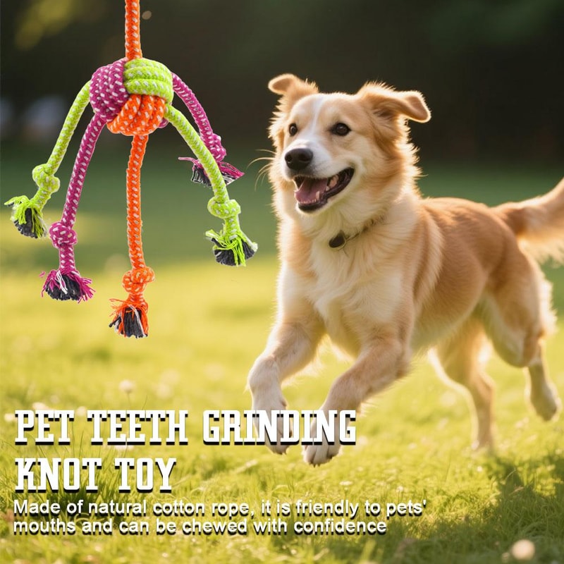 Interactive Dog Rope Toy for Chewers Durable Tug and Chew Toy