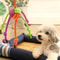 Interactive Dog Rope Toy for Chewers Durable Tug and Chew Toy