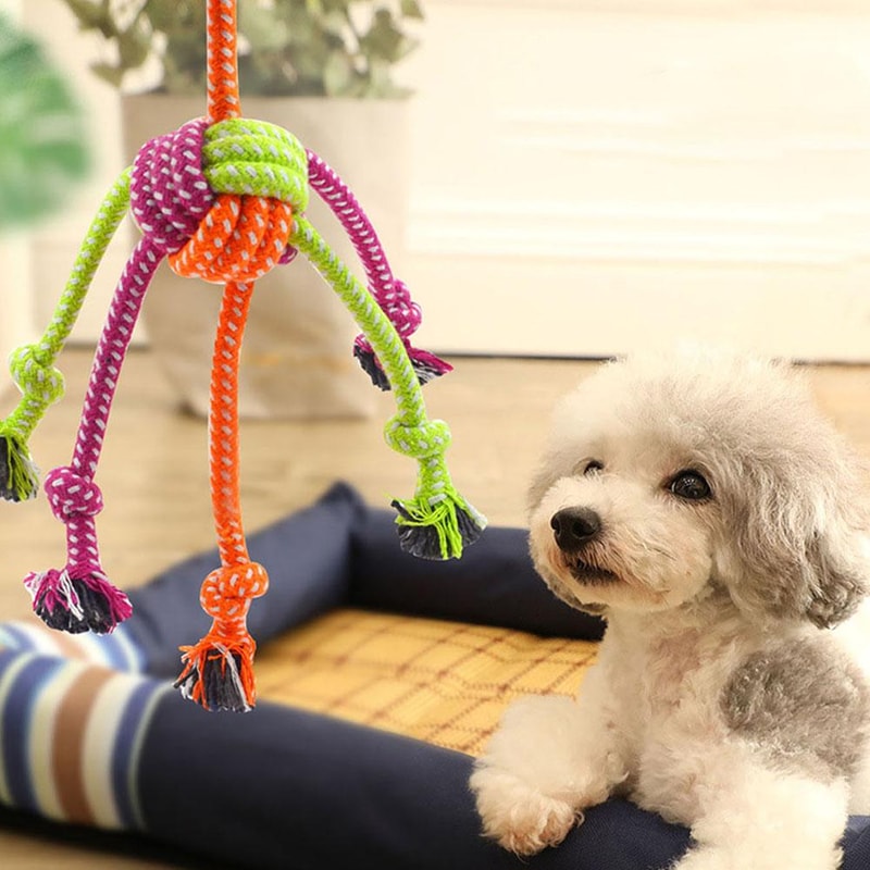 Interactive Dog Rope Toy for Chewers Durable Tug and Chew Toy