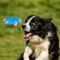 Durable Dog Rope Toy For Fetch Tug And Teeth Cleaning 0