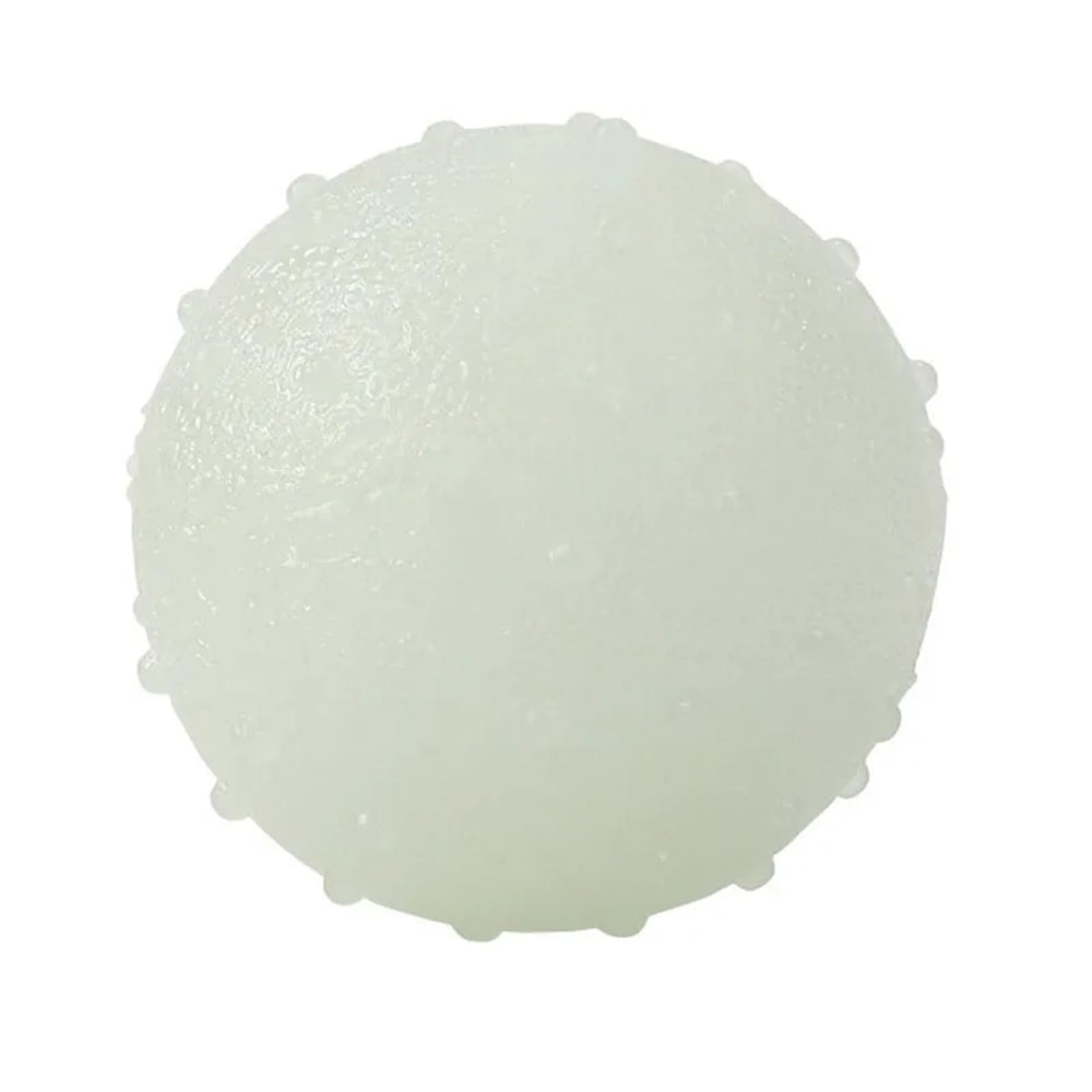 Reflective Bounce Dog Ball Toy For Fetch Training Interactive Play 2