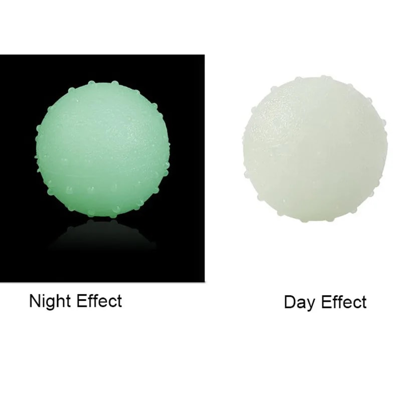 Reflective Bounce Dog Ball Toy For Fetch Training Interactive Play 4